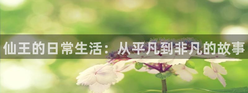 樱花动漫专注动漫免费：仙王的日常生活：从平凡到非凡的故事