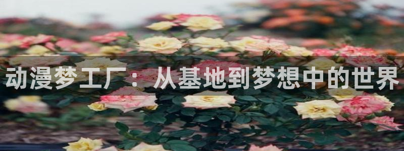 樱花动漫名侦探柯南：动漫梦工厂：从基地到梦想中的世界