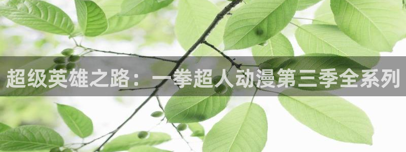 樱花动漫公主恋人ova完整观看：超级英雄之路：一拳超人动漫第三季全系列